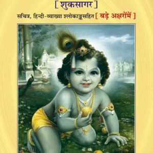 Srimadbhagawat Sudhasagar(Bade Aksharo me)