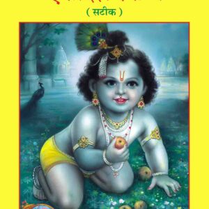 Bhagavata Ekadasha Skandha