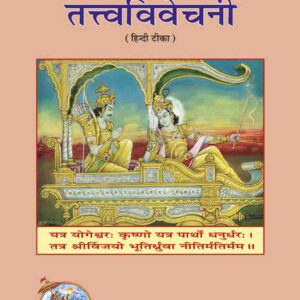 Gita  Tattva  Vivechani