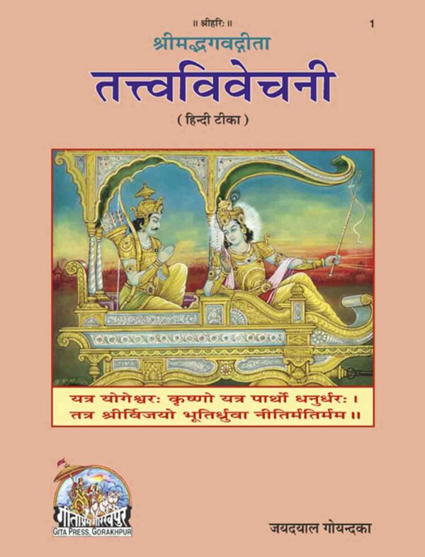 Gita  Tattva  Vivechani