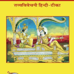 Gita  Tattva  Vivechani