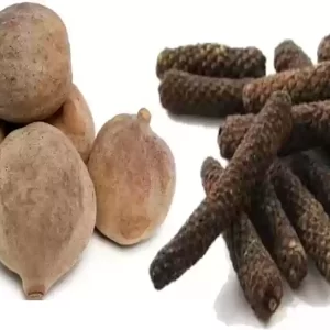 Pipal harad baheda amla ratio 1:2:3:4 whole sabut herb 750 gm combo pack Seed (750 g) ( TRIPHALA)