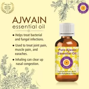 Pure Ajwain Essential Oil 50ml (Trachyspermum ammi) 100% Natural Therapeutic Grade Steam Distilled (50 ml)
