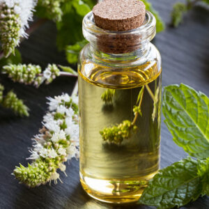 Peppermint Essential Oil 15ml