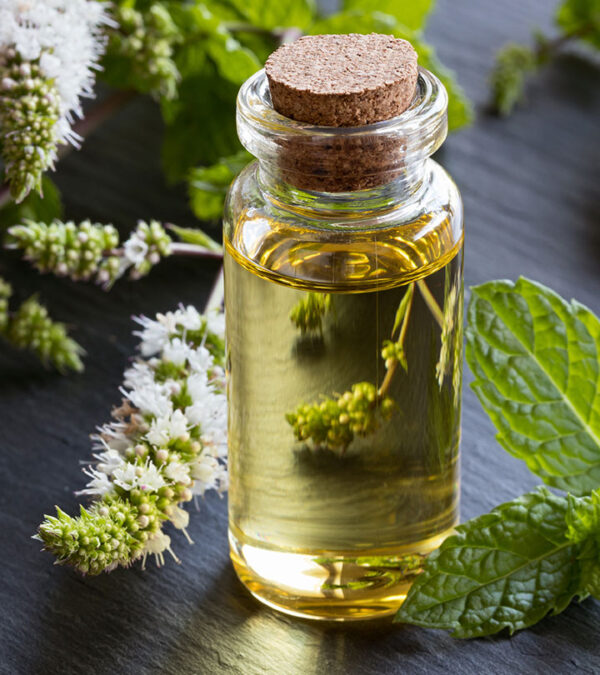 Peppermint Essential Oil 15ml