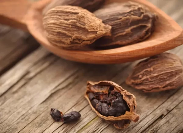 Cardamom /Badi Elaichi / Big Cardamom / Kali Elaichi 100gm