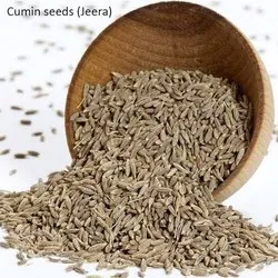 Jeera - Whole (100 g) /CUMIN 100GM