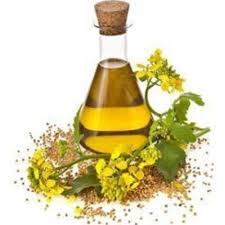 Pure Nirgundi Oil (Vitex negundo linn) 100% Natural Therapeutic Grade (200 ml)