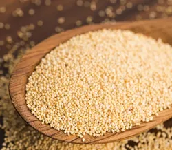 POPPY SEED(POSTA) Poppy Seeds (250 g)