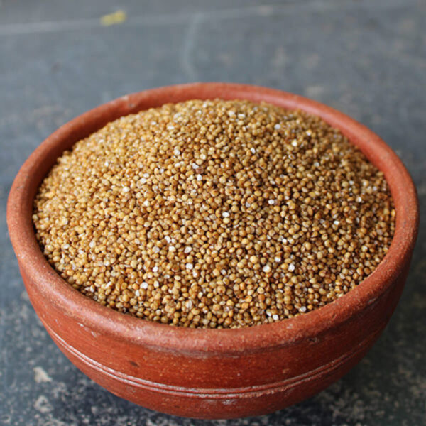 Unpolished Kodo Millet, Kodon, Kodri, Natural Farm Grown, High Fibre Unpolished Millets, Healthy Food Alternatives Kodo Millet (500 g)